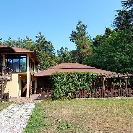 Guest House Black Sea Pizunda Eksteriør bilde